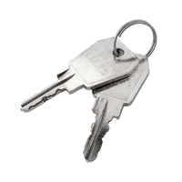 Chave Carver 25041 (2 unidades)